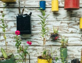 sustainable living through repurposing old cans